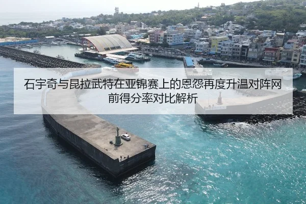 石宇奇与昆拉武特在亚锦赛上的恩怨再度升温对阵网前得分率对比解析