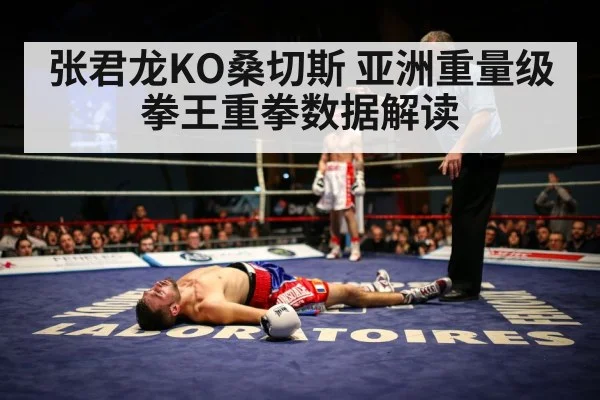张君龙KO桑切斯 亚洲重量级拳王重拳数据解读
